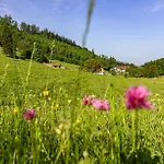Vakantieboerderij Wieserhof *