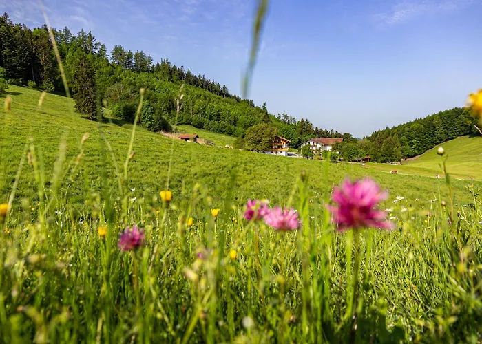 Vakantieboerderij Wieserhof *